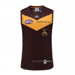 Camiseta Hawthorn Hawks AFL 2023