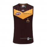 Camiseta Hawthorn Hawks AFL 2023