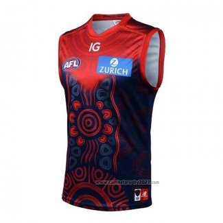 Camiseta Melbourne Demons AFL 2023 Indigena