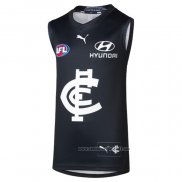 Camiseta Carlton Blues AFL 2024 Local