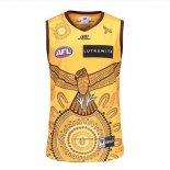 Camiseta Hawthorn Hawks AFL 2023 Indigena