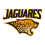 Jaguares