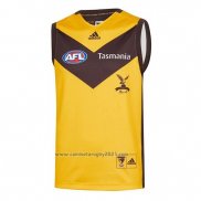 Camiseta Hawthorn Hawks AFL 2020 Segunda