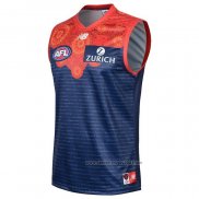 Camiseta Melbourne Demons AFL 2020-2021 Indigena